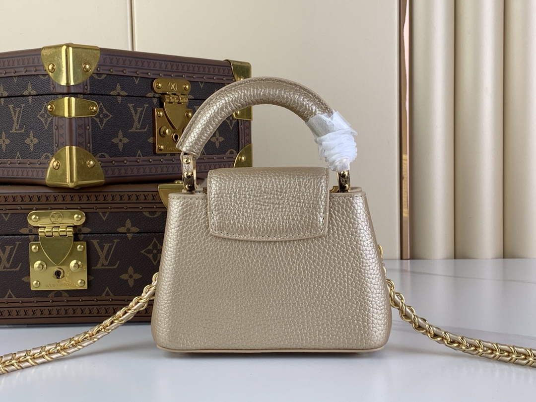 Louis Vuitton Top Handle Bags